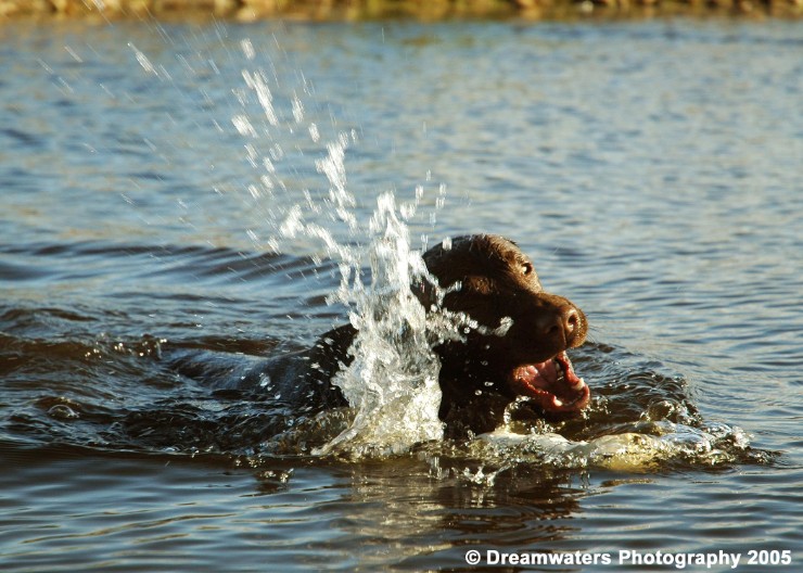 beau  Grabs Dummy.jpg